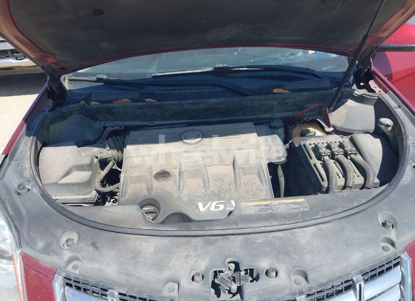 Photo 10 of 2013 Cadillac Srx LUXURY COLLECTION (VIN 3GYFNCE35DS648796)