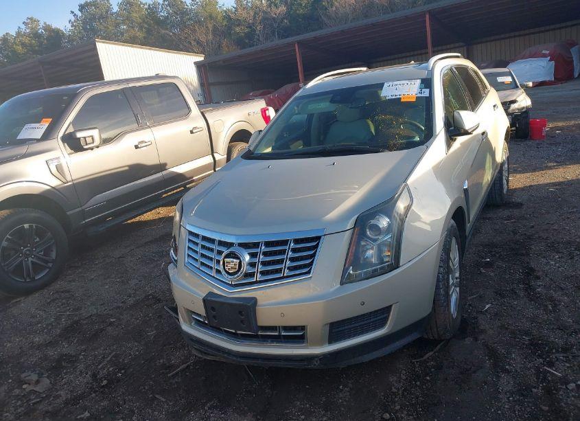 Photo 12 of 2013 Cadillac Srx LUXURY COLLECTION (VIN 3GYFNCE36DS647897)