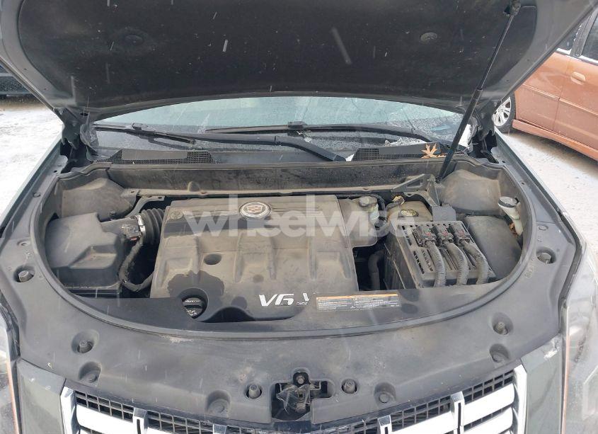 Photo 10 of 2013 Cadillac Srx LUXURY COLLECTION (VIN 3GYFNCE37DS602161)