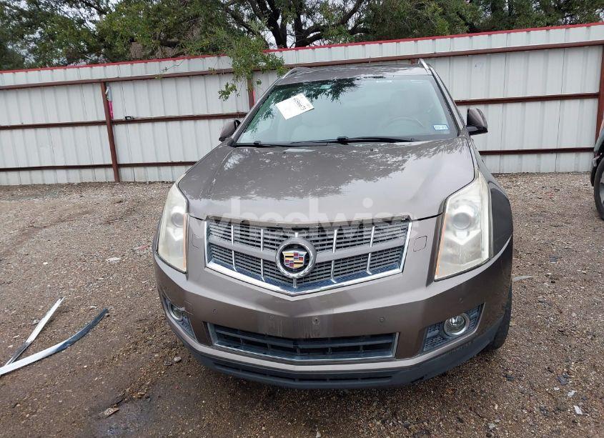 Photo 13 of 2012 Cadillac Srx PREMIUM COLLECTION (VIN 3GYFNCE39CS515005)