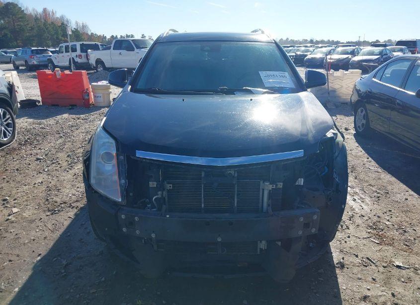 Photo 13 of 2014 Cadillac Srx PERFORMANCE COLLECTION (VIN 3GYFNCE3XES516859)