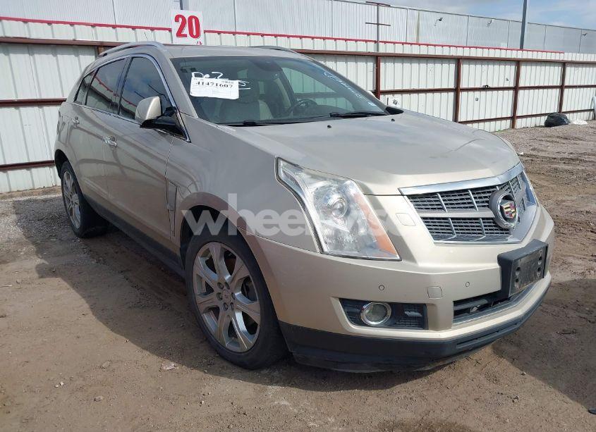 2010 Cadillac Srx PREMIUM COLLECTION (VIN 3GYFNCEY3AS517714) main photo