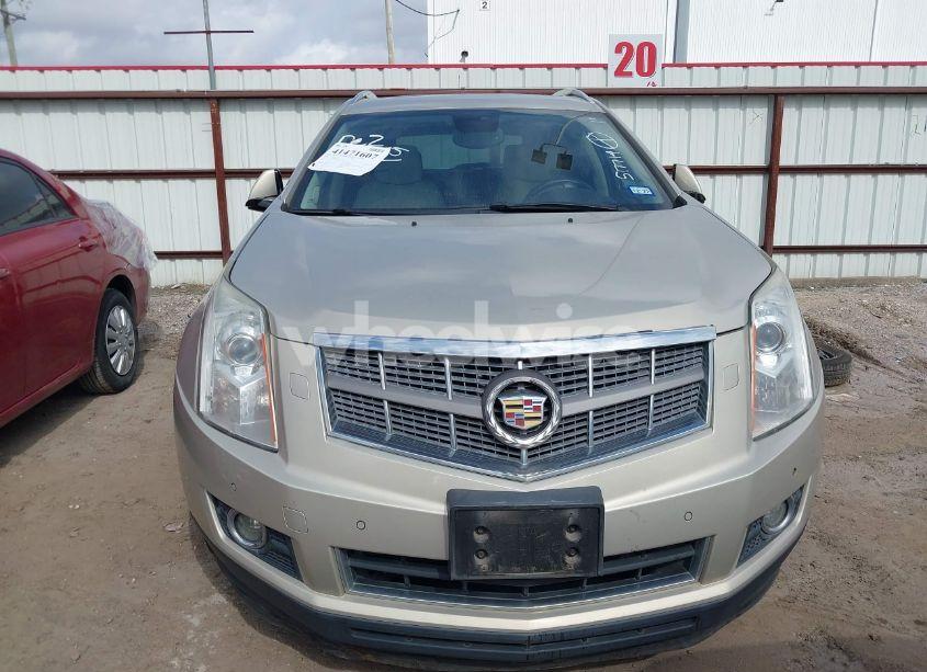 Photo 6 of 2010 Cadillac Srx PREMIUM COLLECTION (VIN 3GYFNCEY3AS517714)