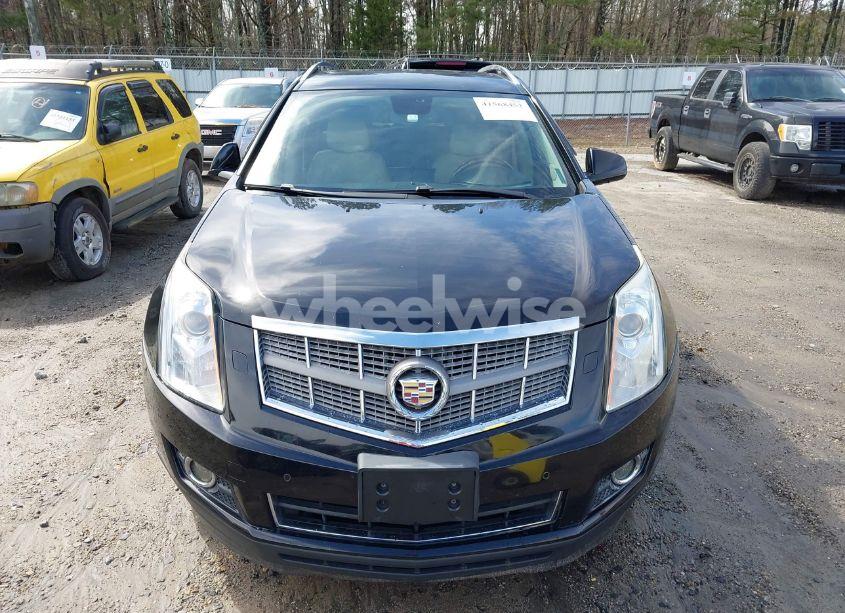 Photo 6 of 2011 Cadillac Srx PREMIUM COLLECTION (VIN 3GYFNCEY3BS505211)