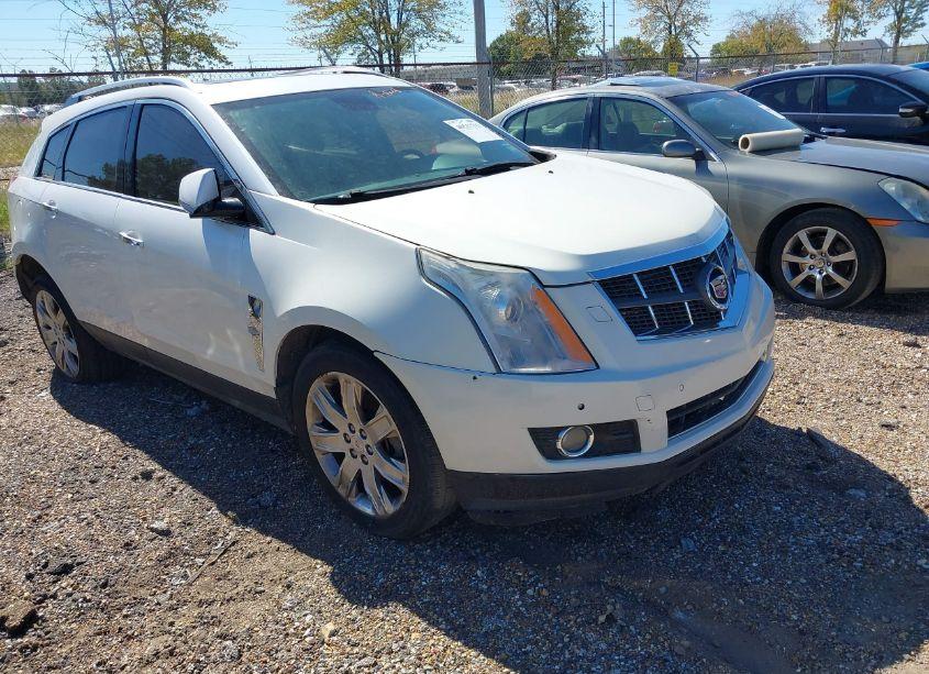 2010 Cadillac Srx PREMIUM COLLECTION (VIN 3GYFNCEY4AS523408) main photo