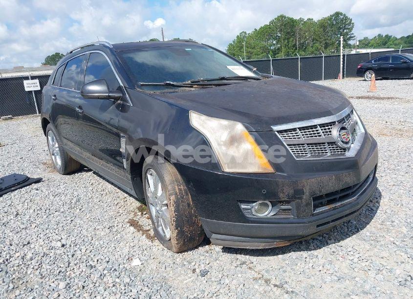 2011 Cadillac Srx PREMIUM COLLECTION (VIN 3GYFNCEY4BS516721) main photo