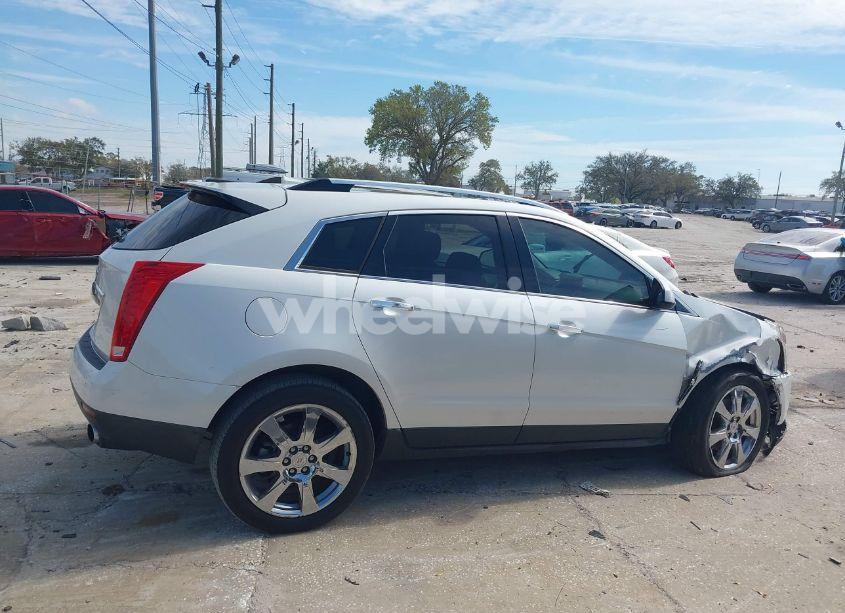 Photo 13 of 2011 Cadillac Srx PREMIUM COLLECTION (VIN 3GYFNCEY5BS556855)