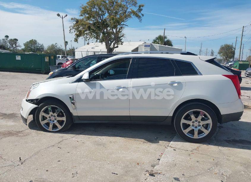 Photo 14 of 2011 Cadillac Srx PREMIUM COLLECTION (VIN 3GYFNCEY5BS556855)