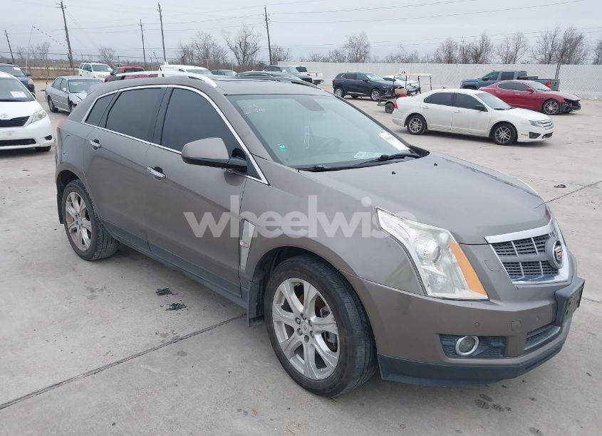 2011 Cadillac Srx PREMIUM COLLECTION (VIN 3GYFNCEY5BS648399) main photo