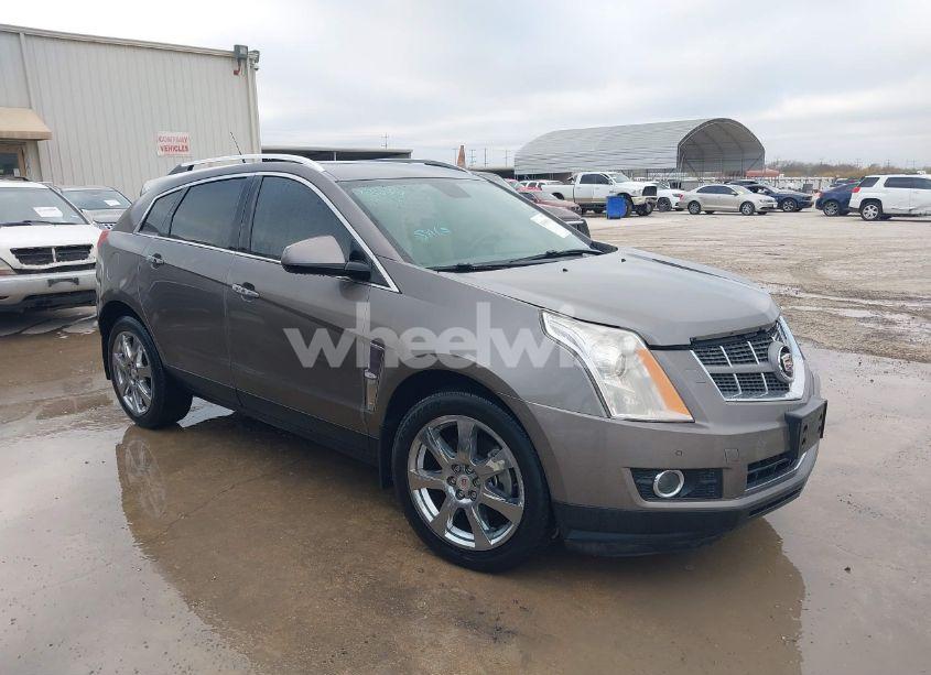 2011 Cadillac Srx PREMIUM COLLECTION (VIN 3GYFNCEY5BS659807) main photo