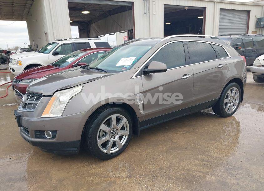 Photo 2 of 2011 Cadillac Srx PREMIUM COLLECTION (VIN 3GYFNCEY5BS659807)