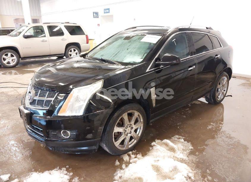 Photo 2 of 2011 Cadillac Srx PREMIUM COLLECTION (VIN 3GYFNCEY7BS566738)
