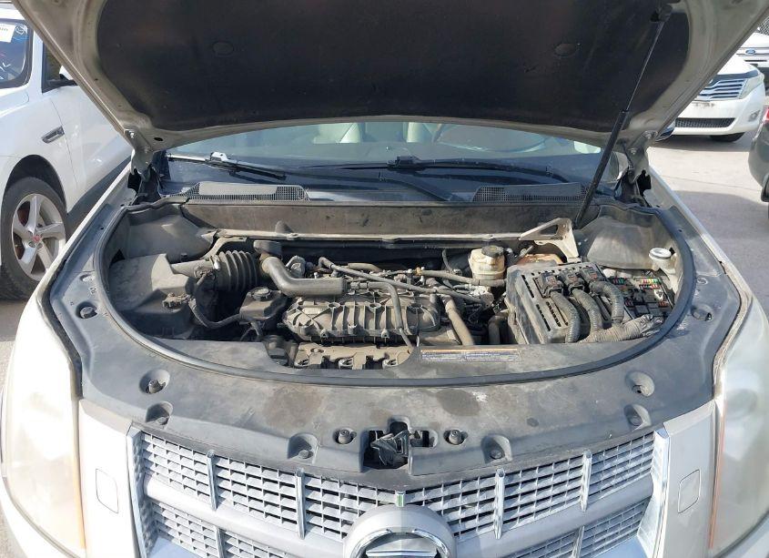 Photo 10 of 2011 Cadillac Srx PREMIUM COLLECTION (VIN 3GYFNCEY8BS530038)