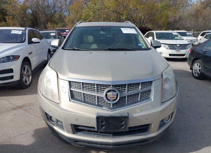 Photo 12 of 2011 Cadillac Srx PREMIUM COLLECTION (VIN 3GYFNCEY8BS530038)