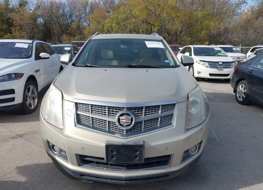 Photo 6 of 2011 Cadillac Srx PREMIUM COLLECTION (VIN 3GYFNCEY8BS530038)