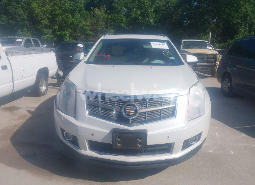 Photo 11 of 2011 Cadillac Srx PREMIUM COLLECTION (VIN 3GYFNCEYXBS579760)