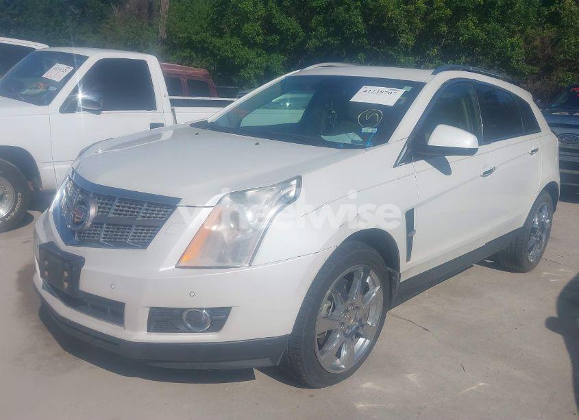 Photo 2 of 2011 Cadillac Srx PREMIUM COLLECTION (VIN 3GYFNCEYXBS579760)