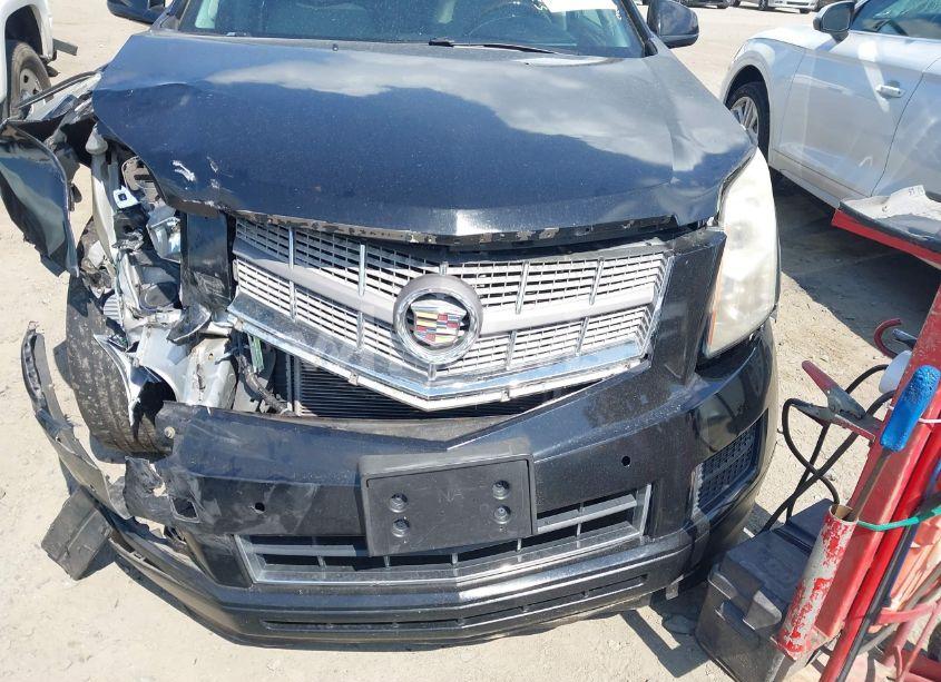 Photo 6 of 2012 Cadillac Srx LUXURY COLLECTION (VIN 3GYFNDE30CS511463)
