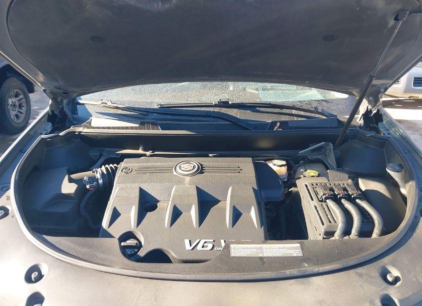 Photo 10 of 2013 Cadillac Srx PERFORMANCE COLLECTION (VIN 3GYFNDE30DS569977)