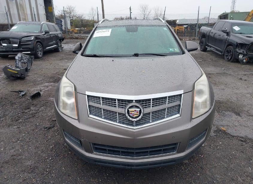 Photo 13 of 2012 Cadillac Srx LUXURY COLLECTION (VIN 3GYFNDE31CS501430)