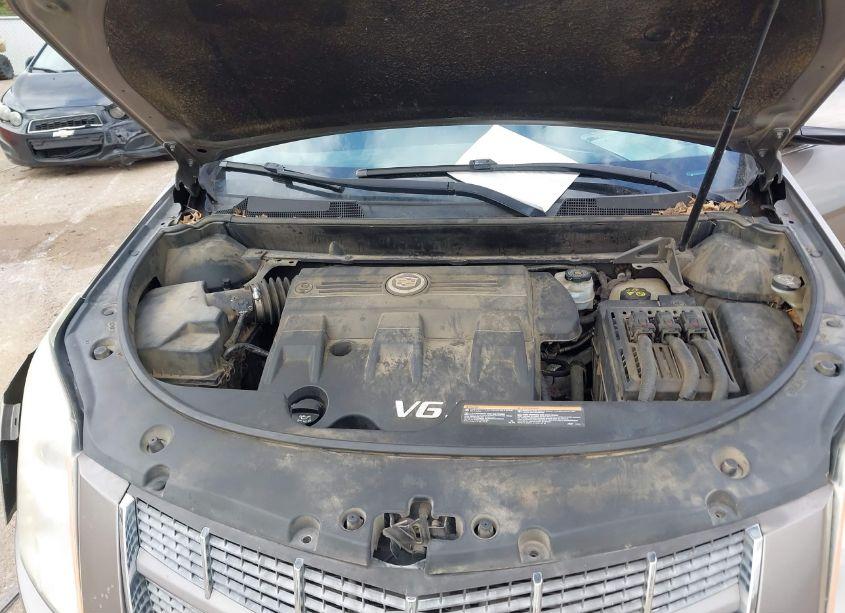Photo 10 of 2012 Cadillac Srx LUXURY COLLECTION (VIN 3GYFNDE31CS550546)