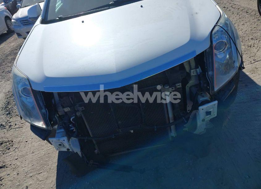 Photo 13 of 2014 Cadillac Srx PREMIUM COLLECTION (VIN 3GYFNDE32ES640968)