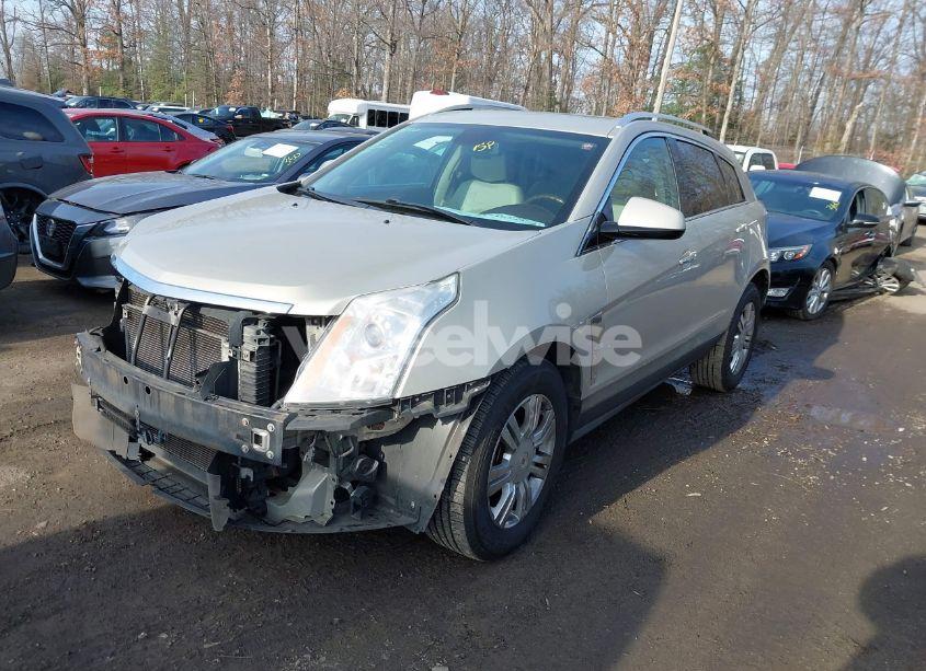 Photo 2 of 2012 Cadillac Srx LUXURY COLLECTION (VIN 3GYFNDE33CS567185)