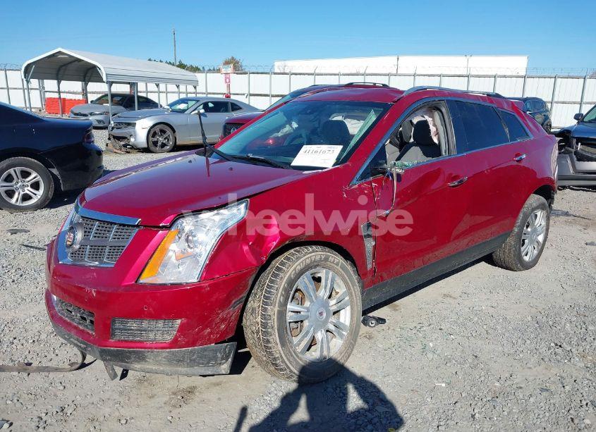 Photo 6 of 2012 Cadillac Srx LUXURY COLLECTION (VIN 3GYFNDE34CS645344)