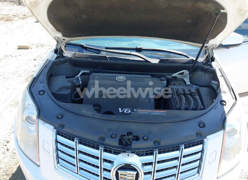 Photo 10 of 2013 Cadillac Srx PERFORMANCE COLLECTION (VIN 3GYFNDE34DS530275)