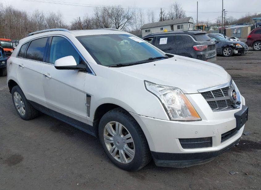 2012 Cadillac Srx LUXURY COLLECTION (VIN 3GYFNDE35CS594789) main photo