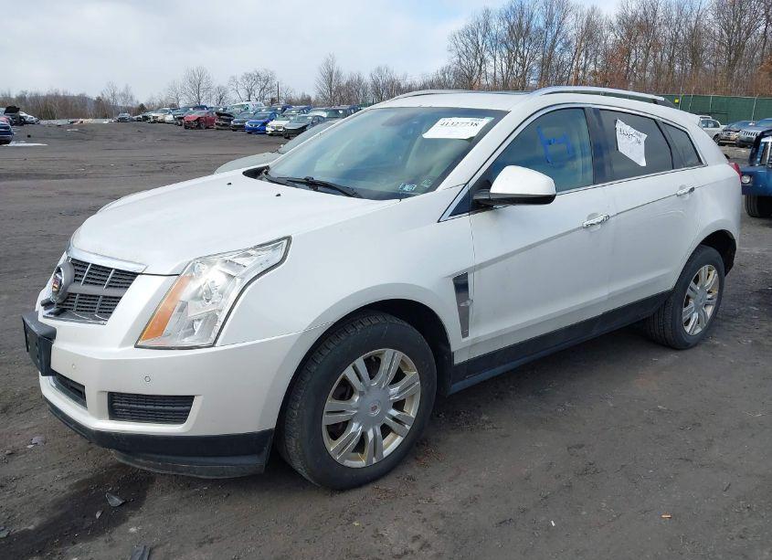 Photo 2 of 2012 Cadillac Srx LUXURY COLLECTION (VIN 3GYFNDE35CS594789)