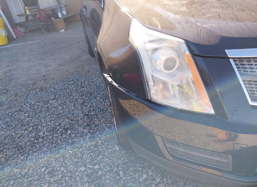 Photo 6 of 2012 Cadillac Srx LUXURY COLLECTION (VIN 3GYFNDE37CS500430)