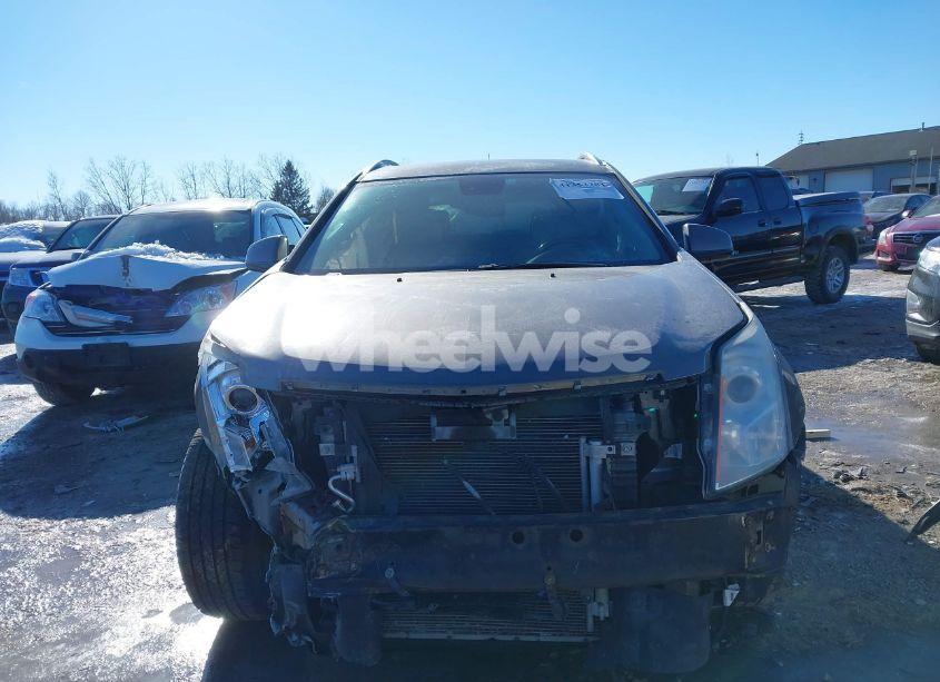 Photo 13 of 2012 Cadillac Srx LUXURY COLLECTION (VIN 3GYFNDE37CS578500)