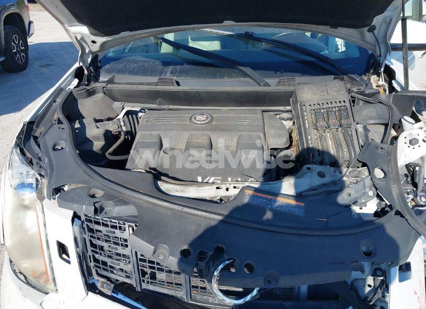 Photo 10 of 2013 Cadillac Srx PERFORMANCE COLLECTION (VIN 3GYFNDE37DS538466)