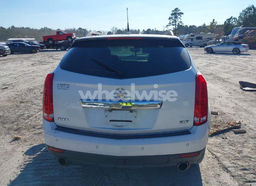 Photo 16 of 2013 Cadillac Srx PERFORMANCE COLLECTION (VIN 3GYFNDE37DS538466)