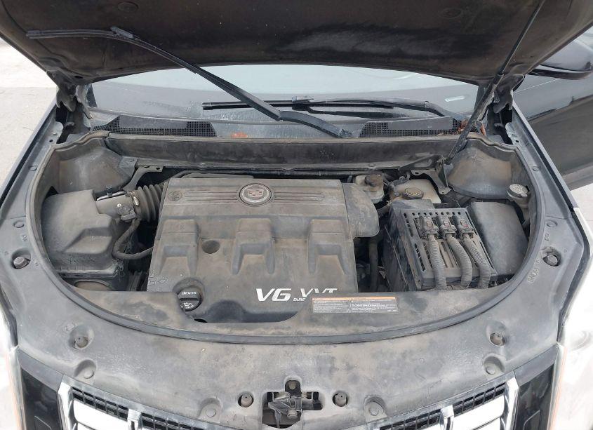 Photo 10 of 2013 Cadillac Srx PERFORMANCE COLLECTION (VIN 3GYFNDE39DS515853)