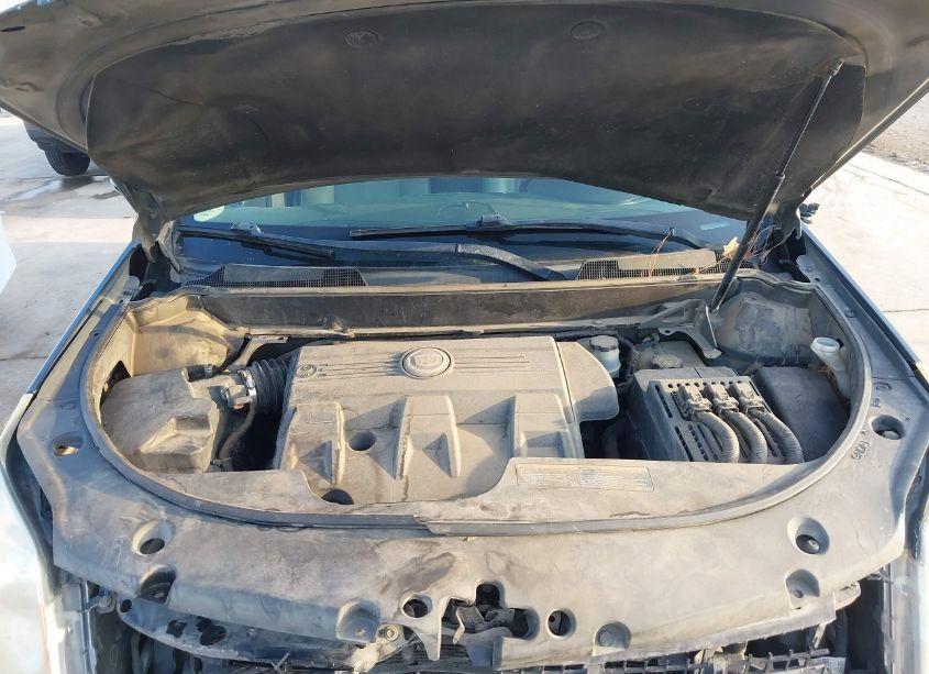 Photo 10 of 2013 Cadillac Srx PERFORMANCE COLLECTION (VIN 3GYFNDE39DS614656)