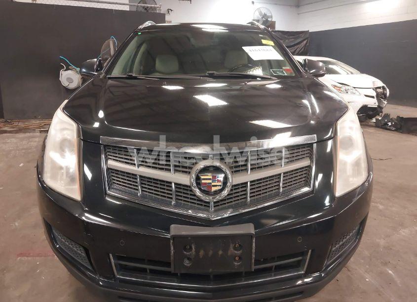 Photo 12 of 2012 Cadillac Srx LUXURY COLLECTION (VIN 3GYFNDE3XCS509834)