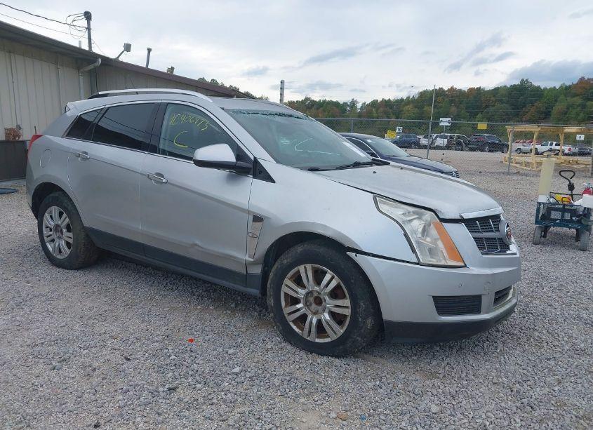 2011 Cadillac Srx LUXURY COLLECTION (VIN 3GYFNDEY0BS526653) main photo
