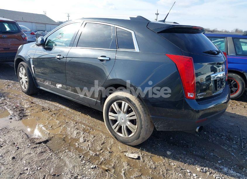 Photo 3 of 2011 Cadillac Srx LUXURY COLLECTION (VIN 3GYFNDEY0BS628857)