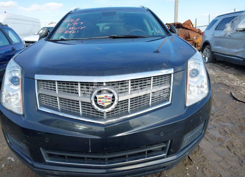 Photo 6 of 2011 Cadillac Srx LUXURY COLLECTION (VIN 3GYFNDEY0BS628857)