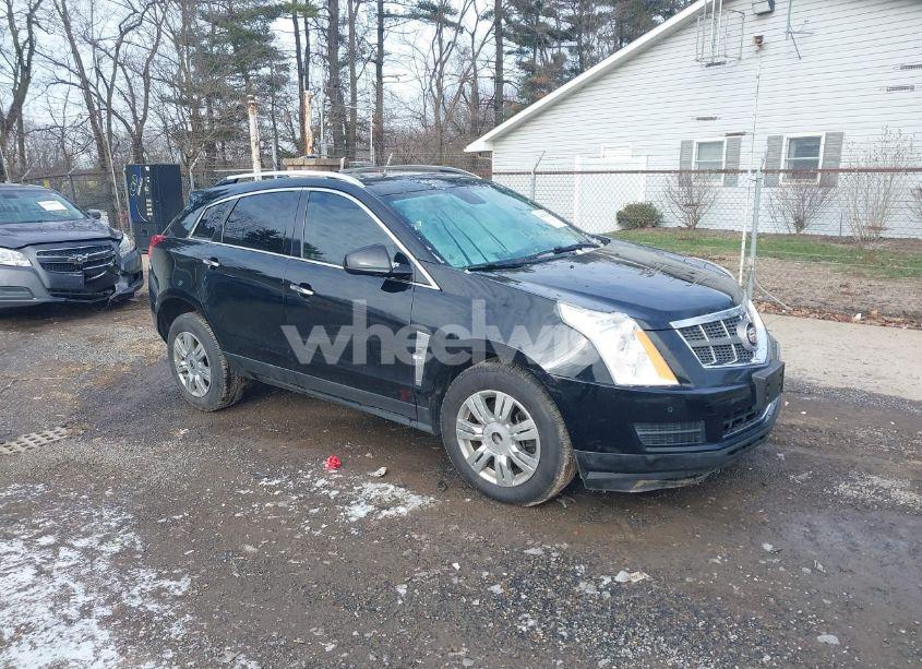 2010 Cadillac Srx LUXURY COLLECTION (VIN 3GYFNDEY2AS503955) main photo