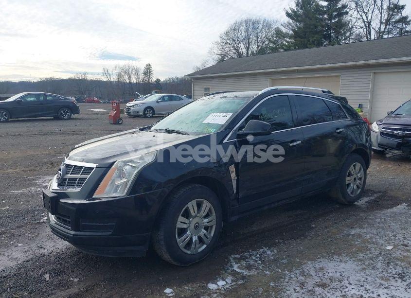 Photo 2 of 2010 Cadillac Srx LUXURY COLLECTION (VIN 3GYFNDEY2AS503955)