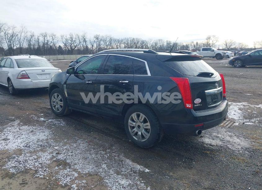 Photo 3 of 2010 Cadillac Srx LUXURY COLLECTION (VIN 3GYFNDEY2AS503955)