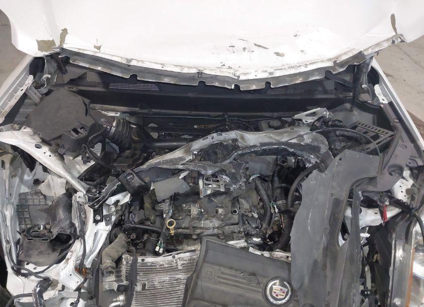 Photo 10 of 2011 Cadillac Srx LUXURY COLLECTION (VIN 3GYFNDEY2BS515962)