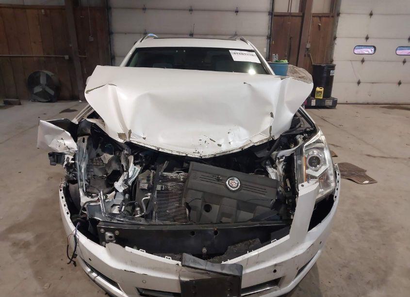 Photo 12 of 2011 Cadillac Srx LUXURY COLLECTION (VIN 3GYFNDEY2BS515962)