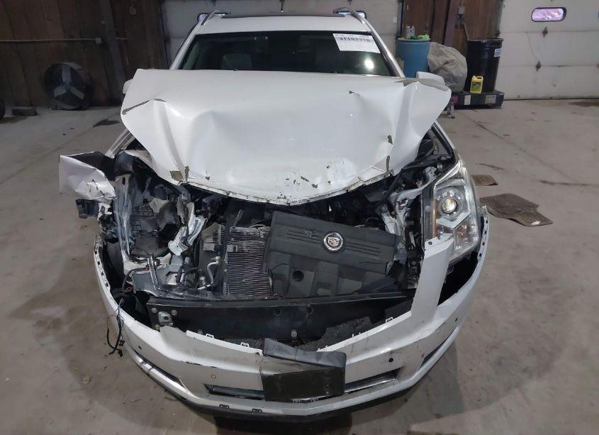 Photo 6 of 2011 Cadillac Srx LUXURY COLLECTION (VIN 3GYFNDEY2BS515962)