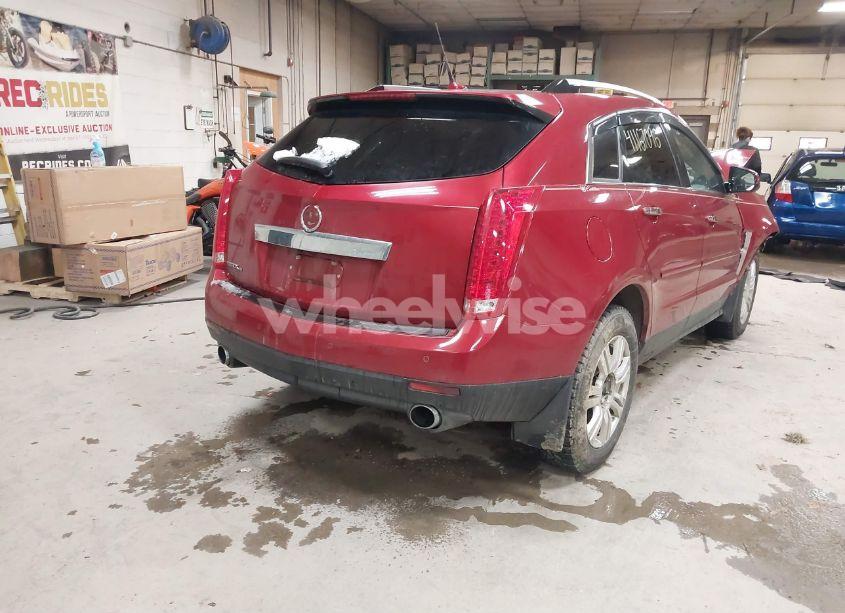 Photo 4 of 2011 Cadillac Srx LUXURY COLLECTION (VIN 3GYFNDEY2BS541350)