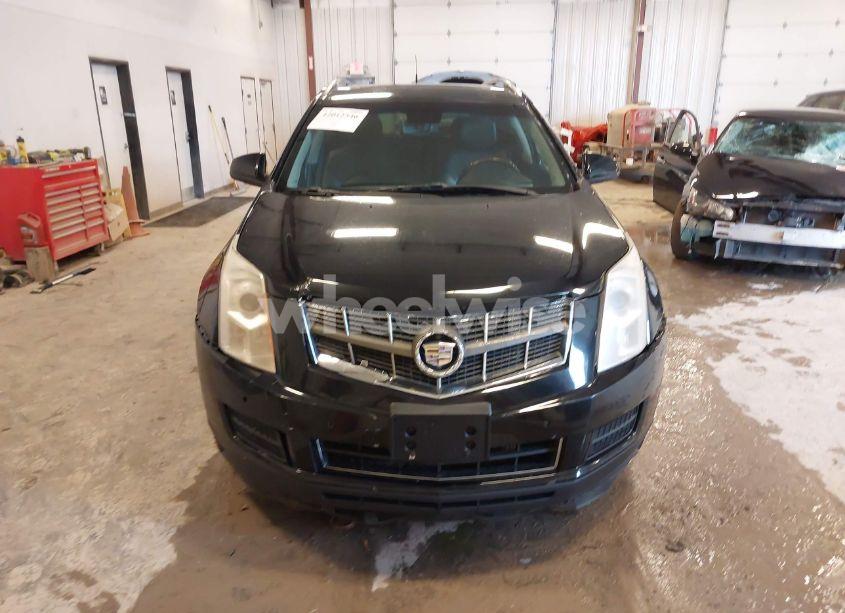 Photo 6 of 2011 Cadillac Srx LUXURY COLLECTION (VIN 3GYFNDEY2BS663027)