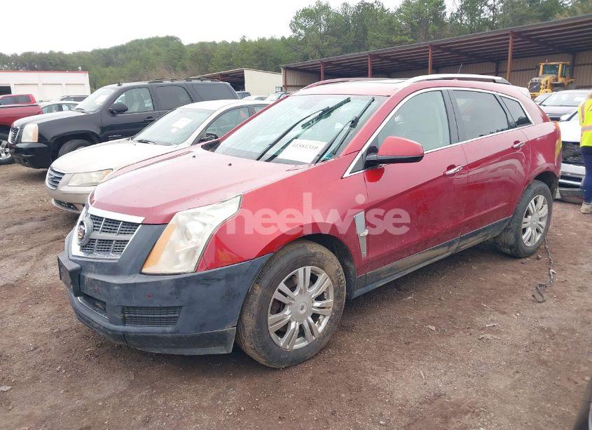 Photo 2 of 2011 Cadillac Srx LUXURY COLLECTION (VIN 3GYFNDEY3BS626665)